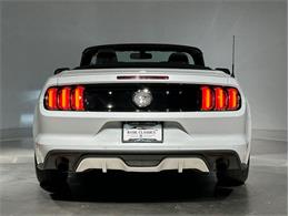 2015 Ford Mustang (CC-2098628) for sale in Depew, New York