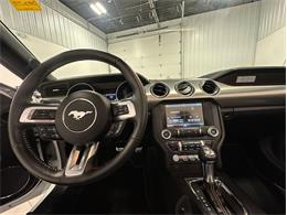 2015 Ford Mustang (CC-2098628) for sale in Depew, New York