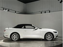2015 Ford Mustang (CC-2098628) for sale in Depew, New York