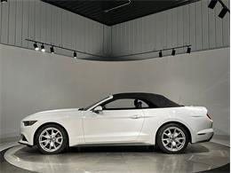 2015 Ford Mustang (CC-2098628) for sale in Depew, New York