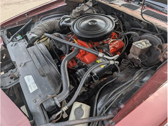 1976 Chevrolet Camaro (CC-2098633) for sale in Palmetto, Florida