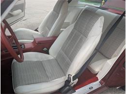 1976 Chevrolet Camaro (CC-2098633) for sale in Palmetto, Florida