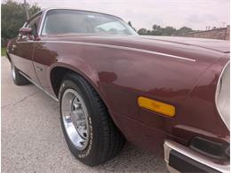 1976 Chevrolet Camaro (CC-2098633) for sale in Palmetto, Florida