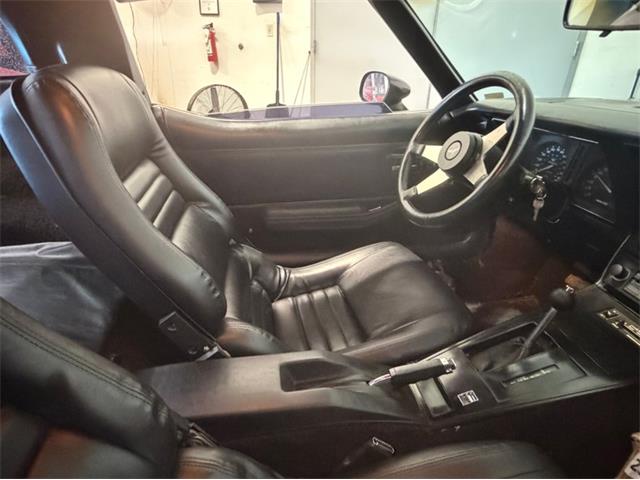 1979 Chevrolet Corvette (CC-2098636) for sale in Palmetto, Florida