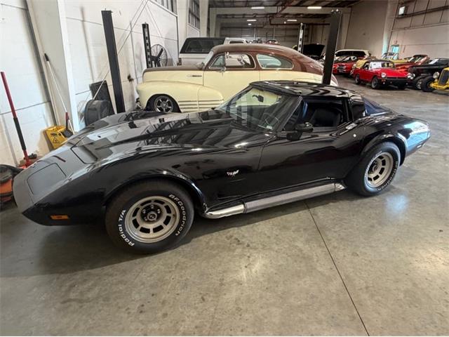 1979 Chevrolet Corvette (CC-2098636) for sale in Palmetto, Florida