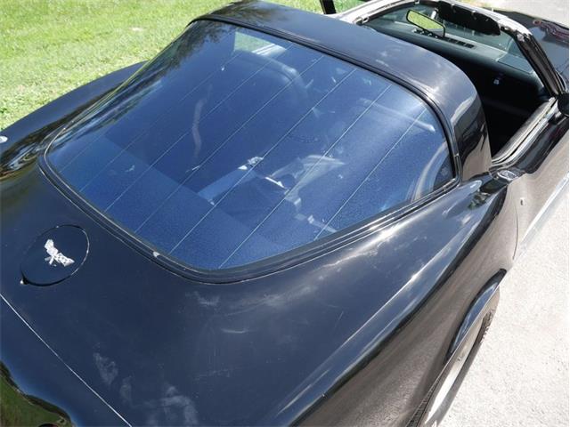 1979 Chevrolet Corvette (CC-2098636) for sale in Palmetto, Florida