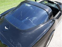 1979 Chevrolet Corvette (CC-2098636) for sale in Palmetto, Florida