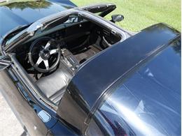 1979 Chevrolet Corvette (CC-2098636) for sale in Palmetto, Florida