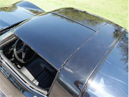 1979 Chevrolet Corvette (CC-2098636) for sale in Palmetto, Florida