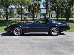 1979 Chevrolet Corvette (CC-2098636) for sale in Palmetto, Florida