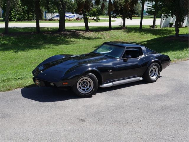 1979 Chevrolet Corvette (CC-2098636) for sale in Palmetto, Florida