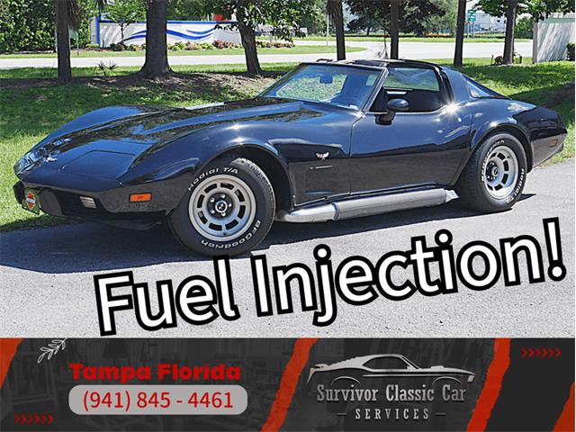 1979 Chevrolet Corvette (CC-2098636) for sale in Palmetto, Florida