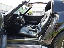 1979 Chevrolet Corvette (CC-2098636) for sale in Palmetto, Florida