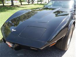 1979 Chevrolet Corvette (CC-2098636) for sale in Palmetto, Florida