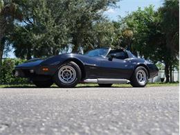 1979 Chevrolet Corvette (CC-2098636) for sale in Palmetto, Florida