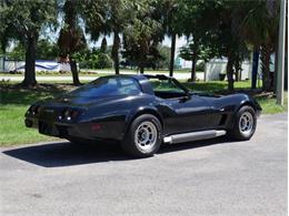 1979 Chevrolet Corvette (CC-2098636) for sale in Palmetto, Florida