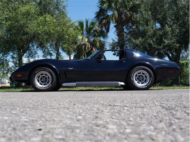 1979 Chevrolet Corvette (CC-2098636) for sale in Palmetto, Florida