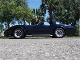 1979 Chevrolet Corvette (CC-2098636) for sale in Palmetto, Florida