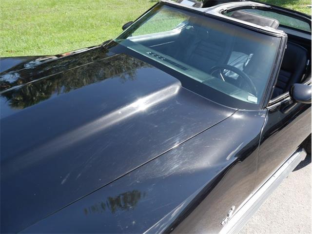 1979 Chevrolet Corvette (CC-2098636) for sale in Palmetto, Florida