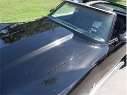 1979 Chevrolet Corvette (CC-2098636) for sale in Palmetto, Florida