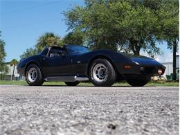 1979 Chevrolet Corvette (CC-2098636) for sale in Palmetto, Florida