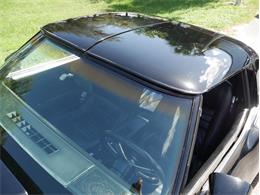 1979 Chevrolet Corvette (CC-2098636) for sale in Palmetto, Florida