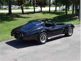 1979 Chevrolet Corvette (CC-2098636) for sale in Palmetto, Florida