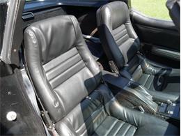 1979 Chevrolet Corvette (CC-2098636) for sale in Palmetto, Florida