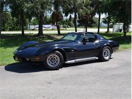1979 Chevrolet Corvette (CC-2098636) for sale in Palmetto, Florida