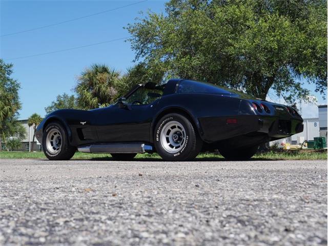 1979 Chevrolet Corvette (CC-2098636) for sale in Palmetto, Florida