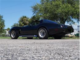 1979 Chevrolet Corvette (CC-2098636) for sale in Palmetto, Florida