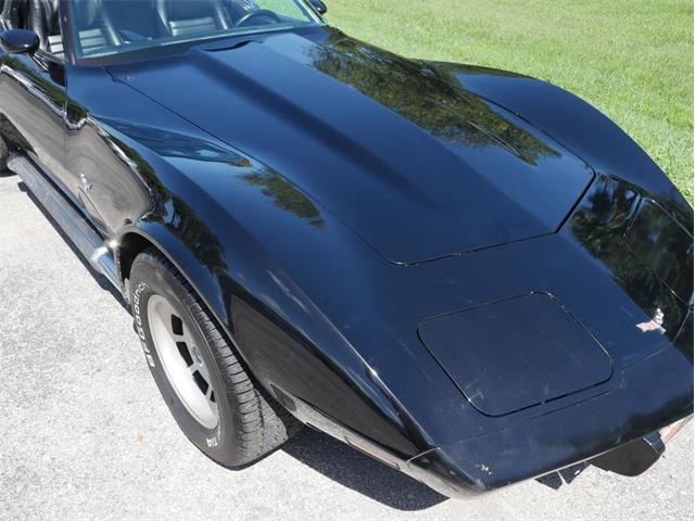 1979 Chevrolet Corvette (CC-2098636) for sale in Palmetto, Florida