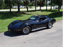 1979 Chevrolet Corvette (CC-2098636) for sale in Palmetto, Florida