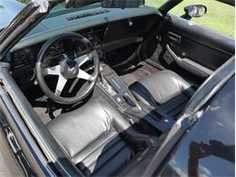 1979 Chevrolet Corvette (CC-2098636) for sale in Palmetto, Florida