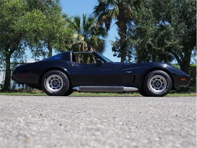 1979 Chevrolet Corvette (CC-2098636) for sale in Palmetto, Florida