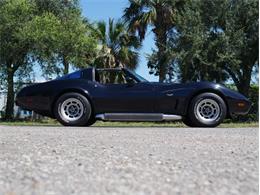 1979 Chevrolet Corvette (CC-2098636) for sale in Palmetto, Florida