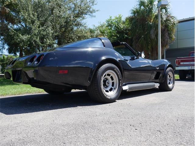 1979 Chevrolet Corvette (CC-2098636) for sale in Palmetto, Florida