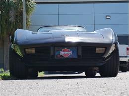 1979 Chevrolet Corvette (CC-2098636) for sale in Palmetto, Florida