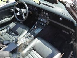 1979 Chevrolet Corvette (CC-2098636) for sale in Palmetto, Florida
