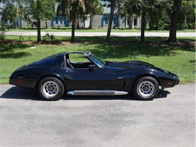 1979 Chevrolet Corvette (CC-2098636) for sale in Palmetto, Florida