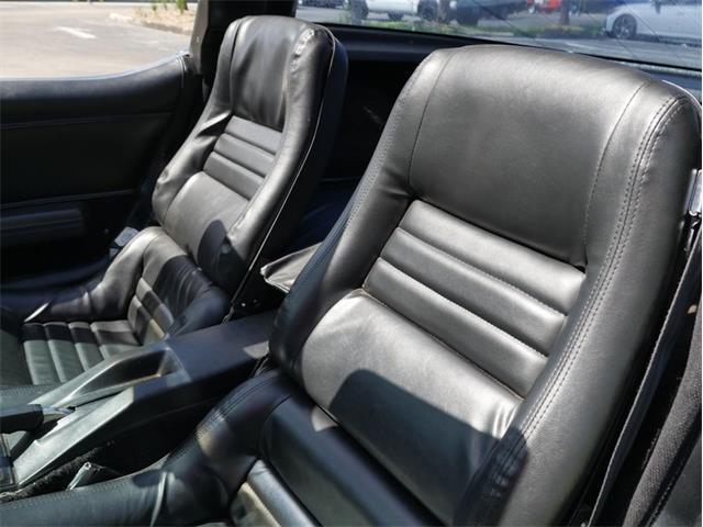 1979 Chevrolet Corvette (CC-2098636) for sale in Palmetto, Florida