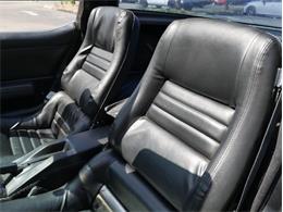 1979 Chevrolet Corvette (CC-2098636) for sale in Palmetto, Florida