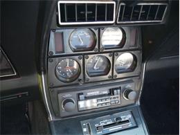 1979 Chevrolet Corvette (CC-2098636) for sale in Palmetto, Florida