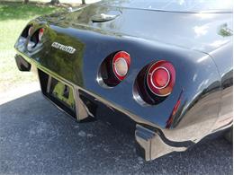 1979 Chevrolet Corvette (CC-2098636) for sale in Palmetto, Florida