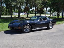 1979 Chevrolet Corvette (CC-2098636) for sale in Palmetto, Florida