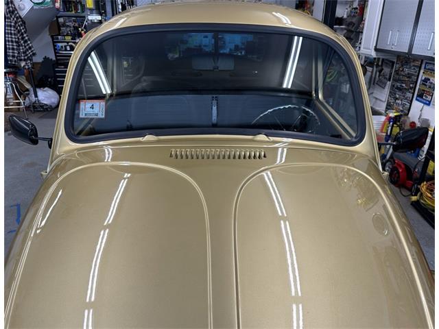 1974 Volkswagen Beetle (CC-2098648) for sale in Hingham, Massachusetts