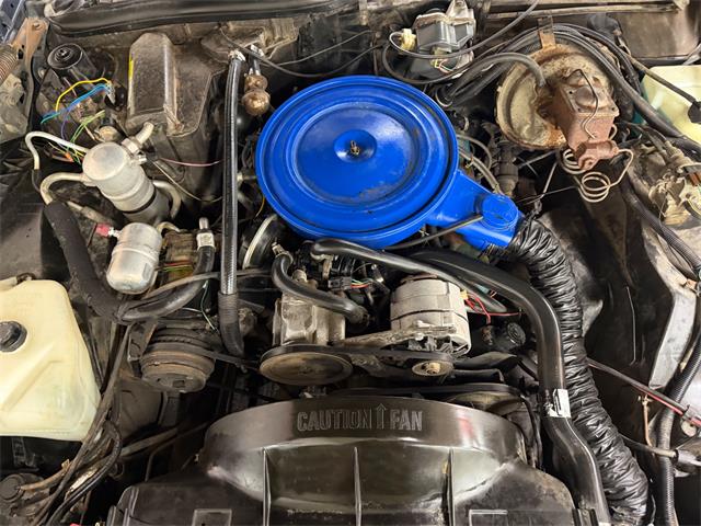 1980 Pontiac Catalina (CC-2098664) for sale in Mundelein, Illinois