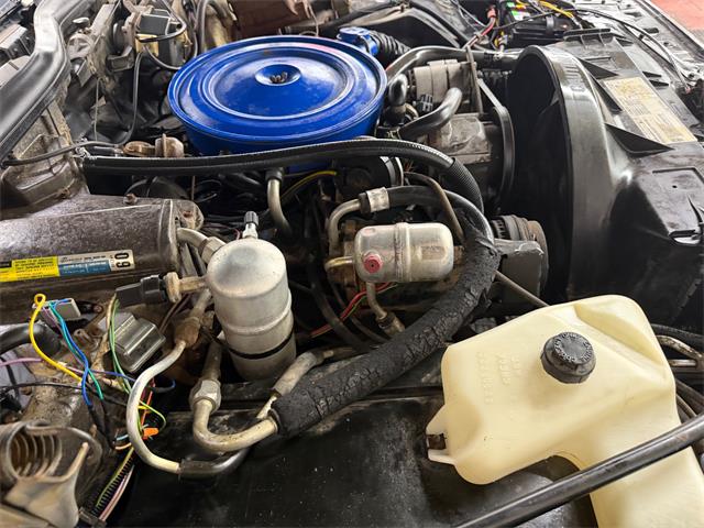 1980 Pontiac Catalina (CC-2098664) for sale in Mundelein, Illinois