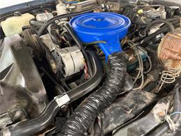 1980 Pontiac Catalina (CC-2098664) for sale in Mundelein, Illinois