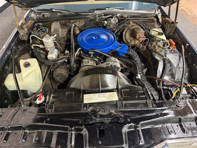 1980 Pontiac Catalina (CC-2098664) for sale in Mundelein, Illinois